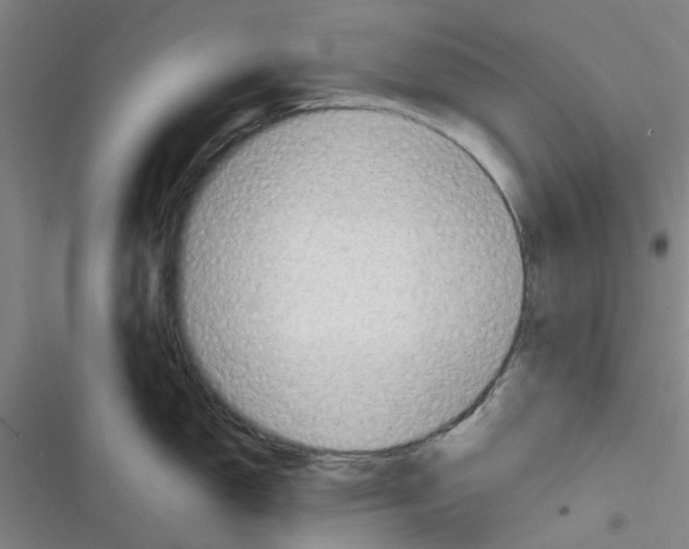 X0000116351150201001131101