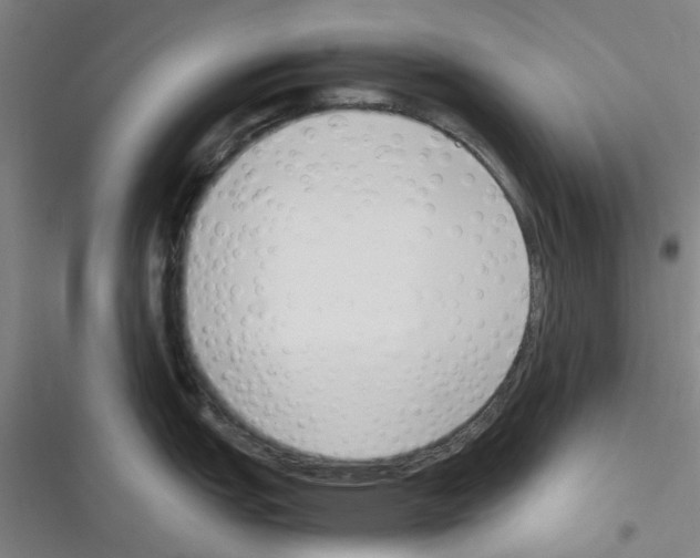 X0000116351151201001131101