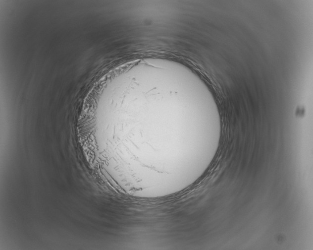 X0000116351153201001131100