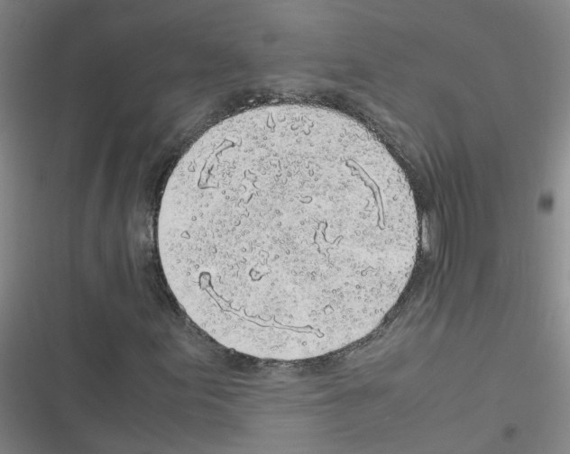 X0000116351155201001131100