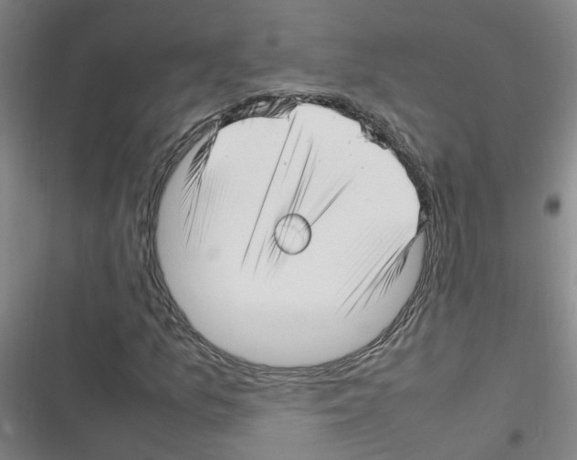 X0000116351157201001131100