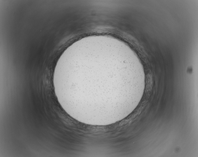 X0000116351158201001131100
