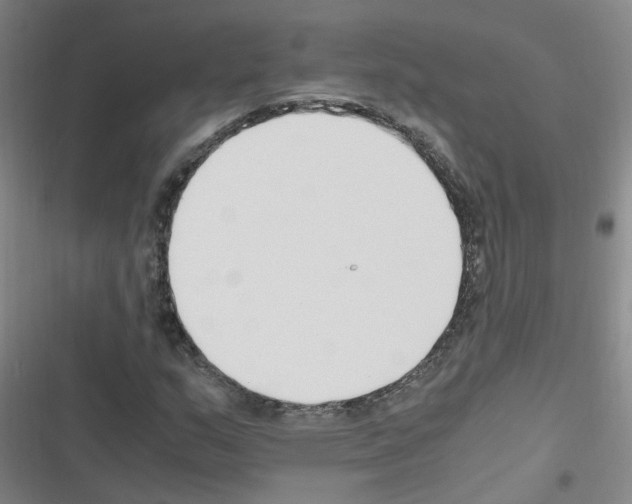 X0000116351159201001131100
