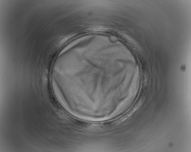 X0000116351161201001131100
