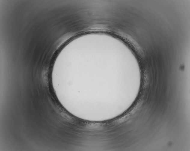 X0000116351162201001131100