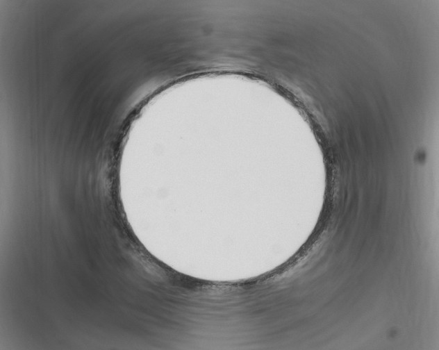 X0000116351163201001131100