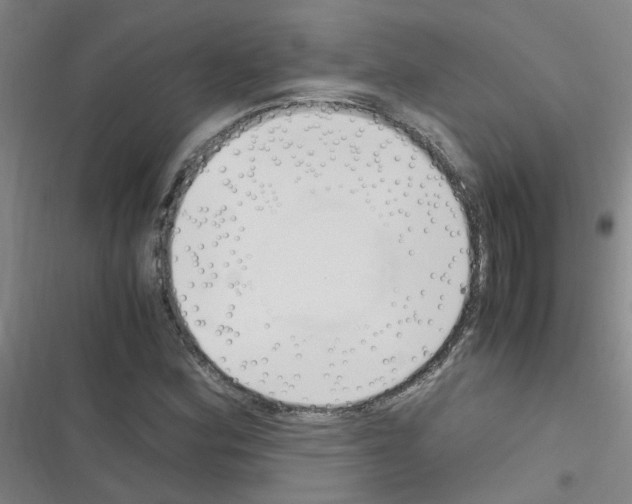 X0000116351164201001131100