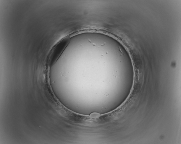X0000116351165201001131100