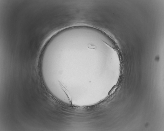 X0000116351167201001131100