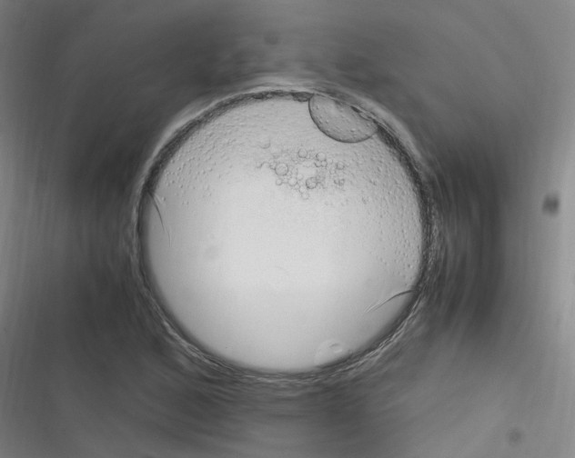 X0000116351168201001131100