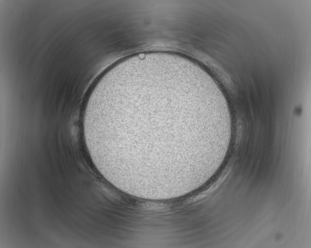 X0000116351170201001131100