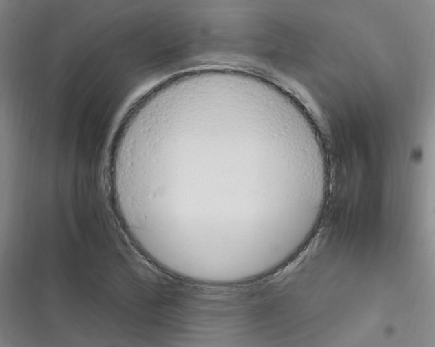 X0000116351172201001131100