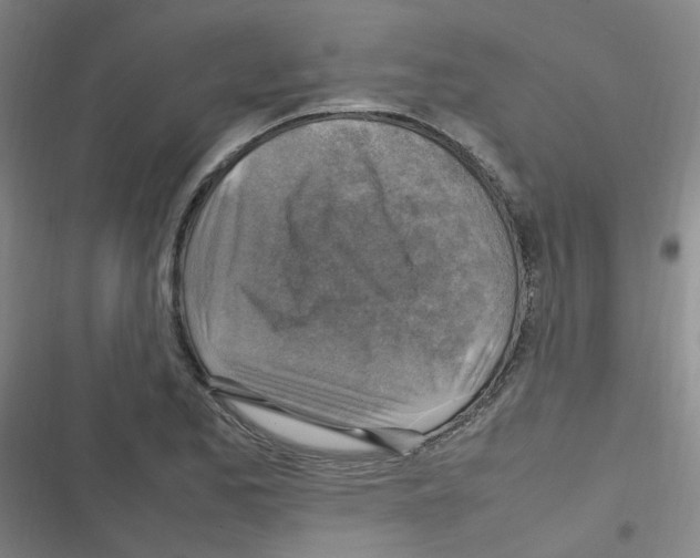 X0000116351173201001131100