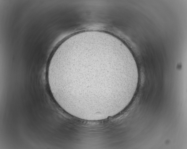 X0000116351174201001131100