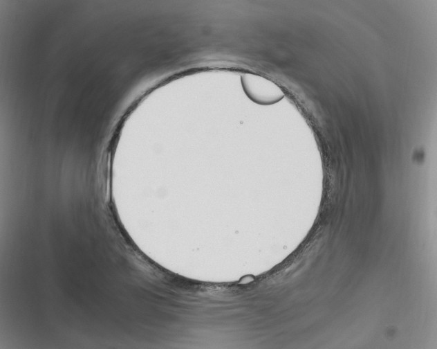 X0000116351175201001131100