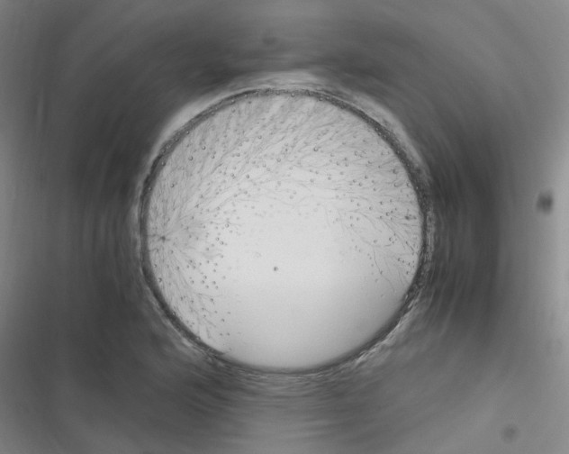 X0000116351176201001131100