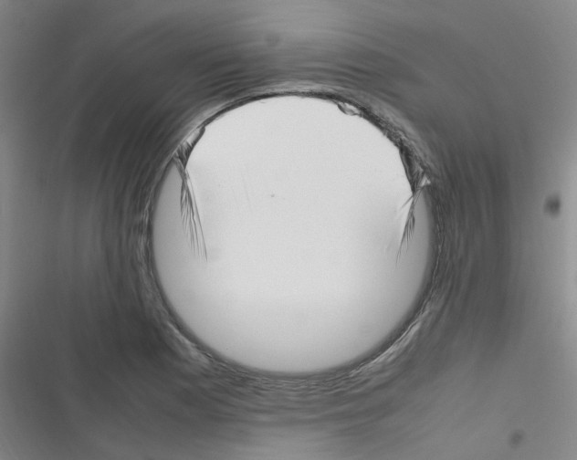 X0000116351177201001131100