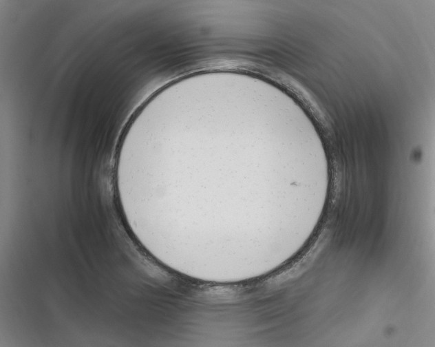 X0000116351178201001131100