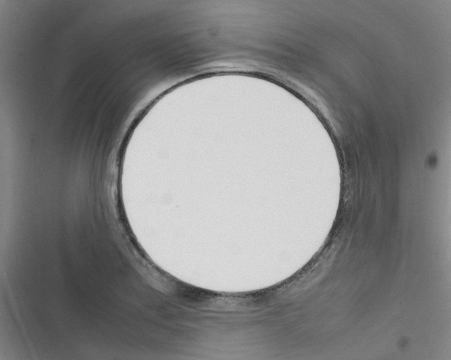 X0000116351179201001131100