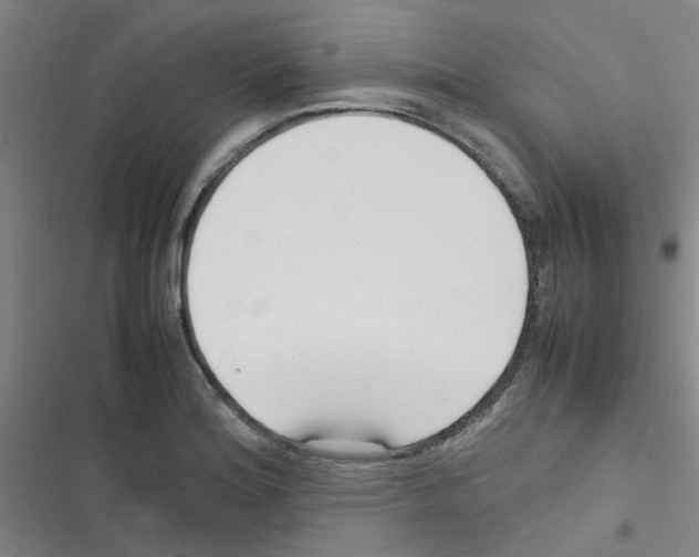 X0000116351180201001131100
