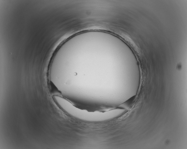 X0000116351181201001131100