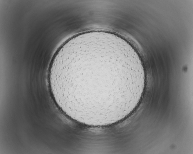 X0000116351182201001131100