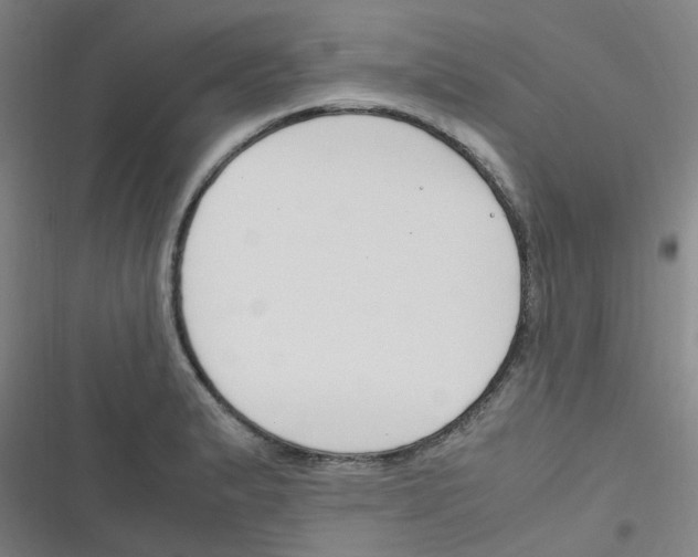 X0000116351183201001131100