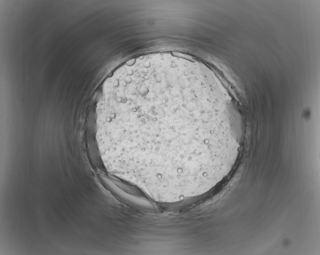 X0000116351185201001131100