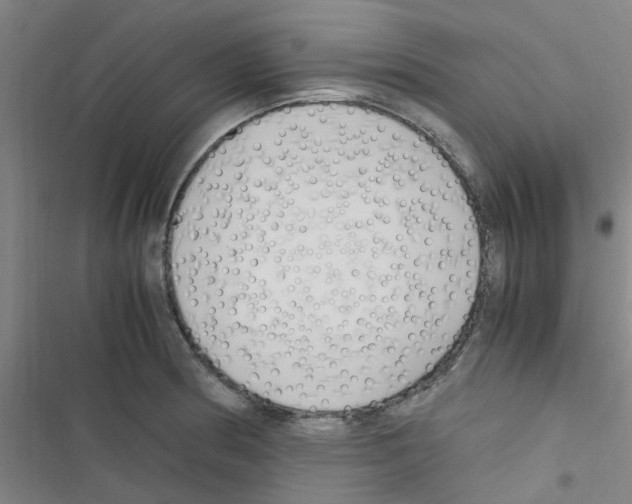 X0000116351186201001131100