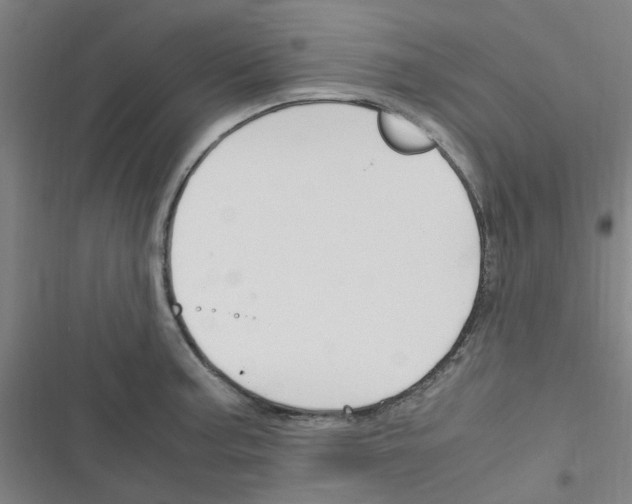 X0000116351187201001131100