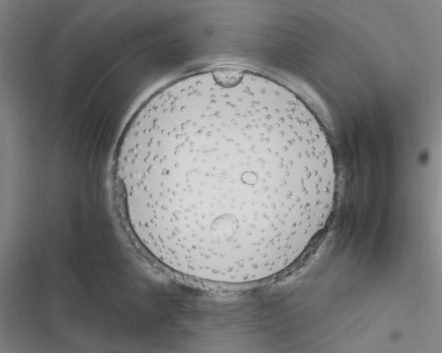 X0000116351190201001131100