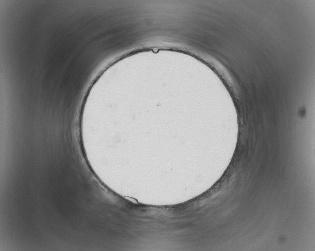 X0000116351191201001131100