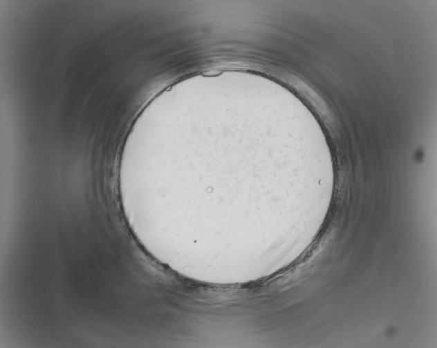 X0000116351193201001131100