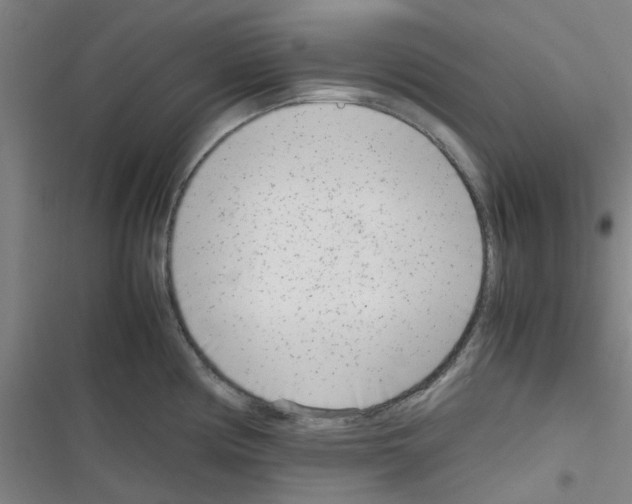 X0000116351194201001131100