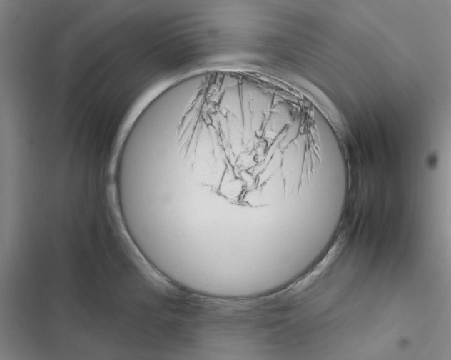 X0000116351196201001131100