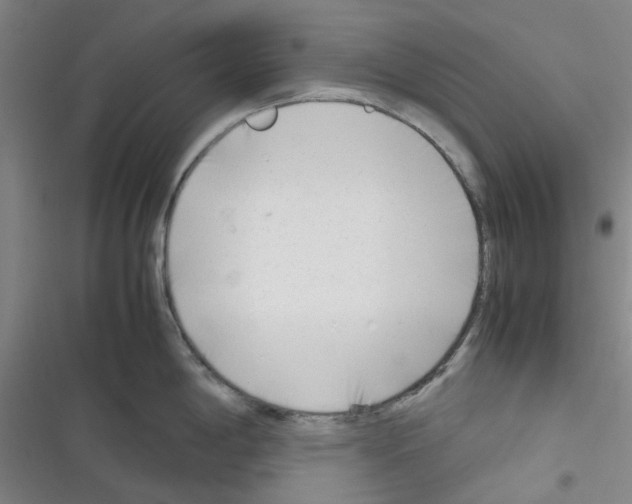 X0000116351198201001131059