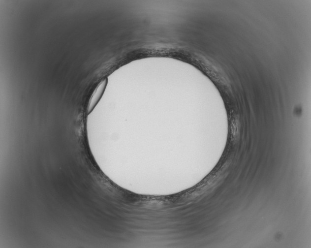 X0000116351204201001131059