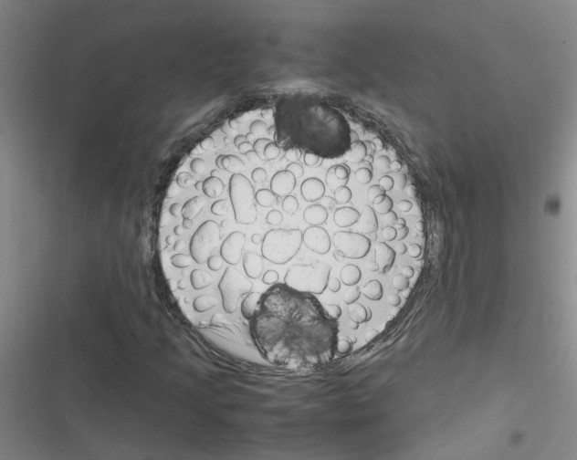 X0000116351205201001131059