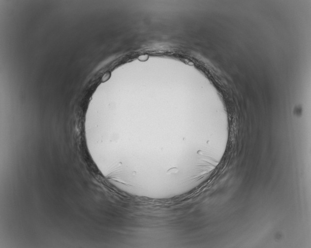 X0000116351206201001131059