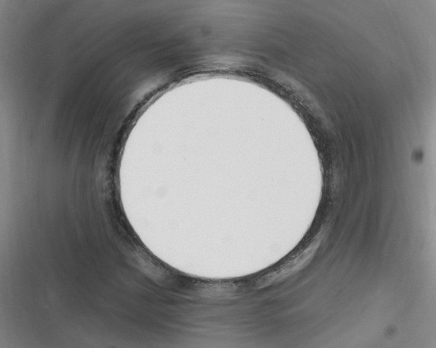 X0000116351210201001131059