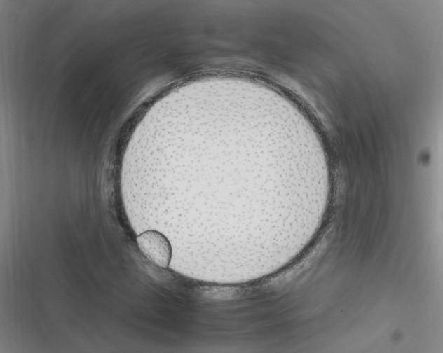 X0000116351211201001131059
