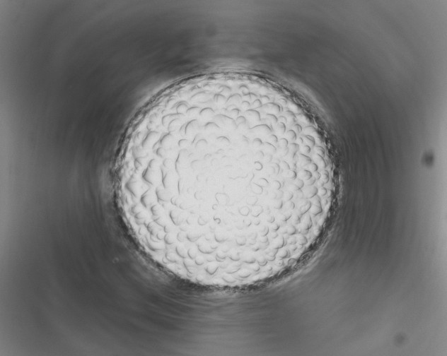 X0000116351212201001131059