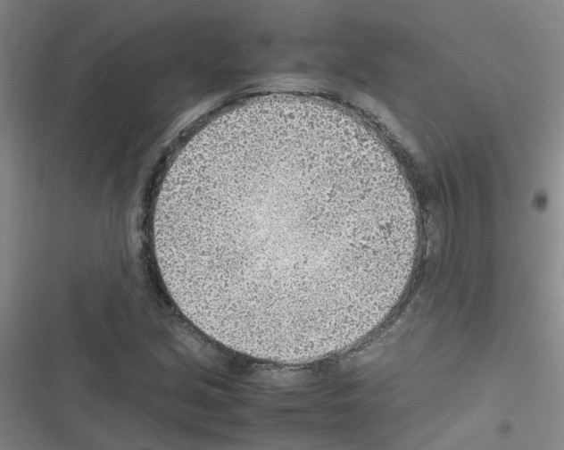 X0000116351213201001131059