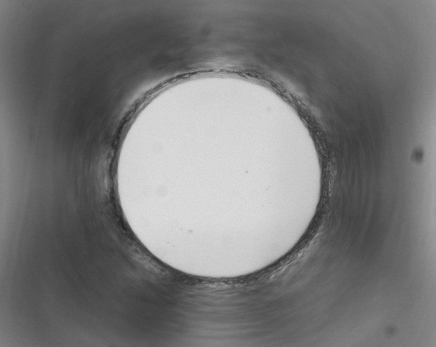 X0000116351214201001131059