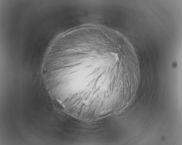 X0000116351215201001131059