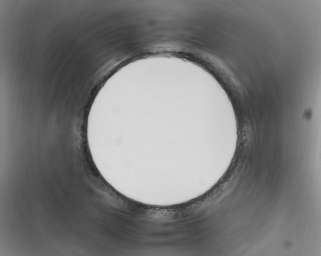 X0000116351217201001131059