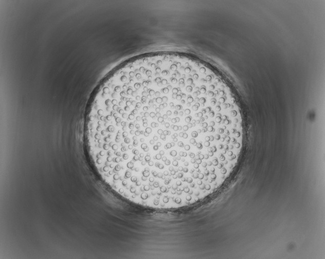 X0000116351220201001131059