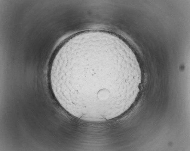 X0000116351222201001131059