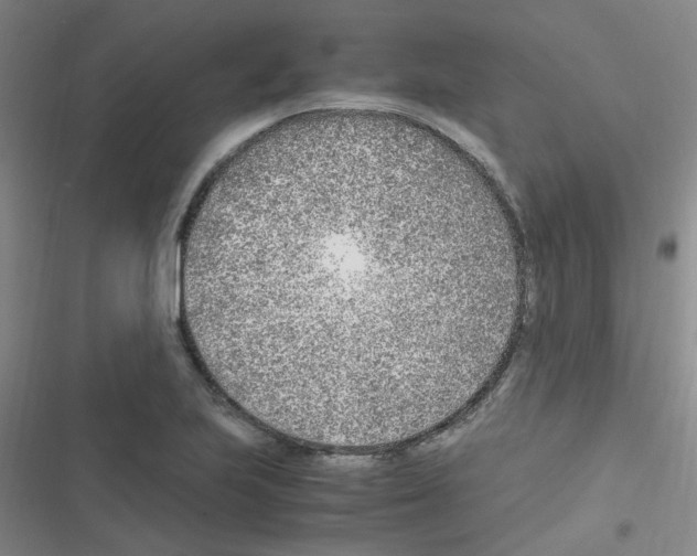 X0000116351223201001131059