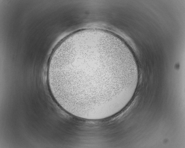 X0000116351224201001131059